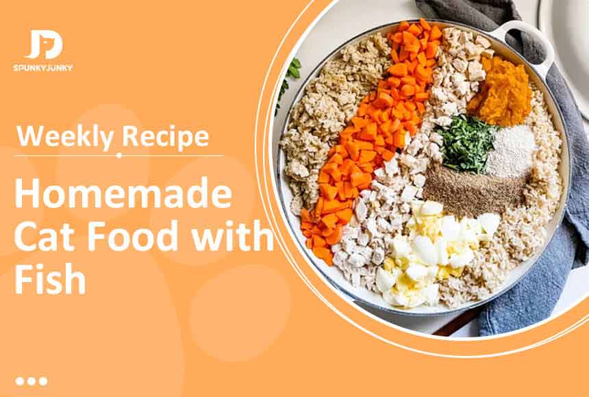Weekly Recipe: Homemade Cat Food with Fish