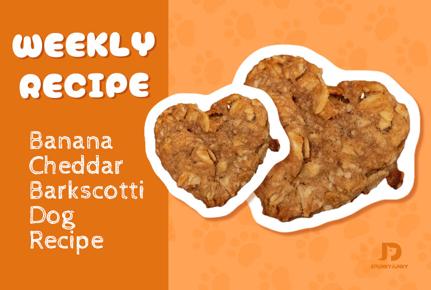 Banana Cheddar Barkscotti Dog Biscuit Recipe