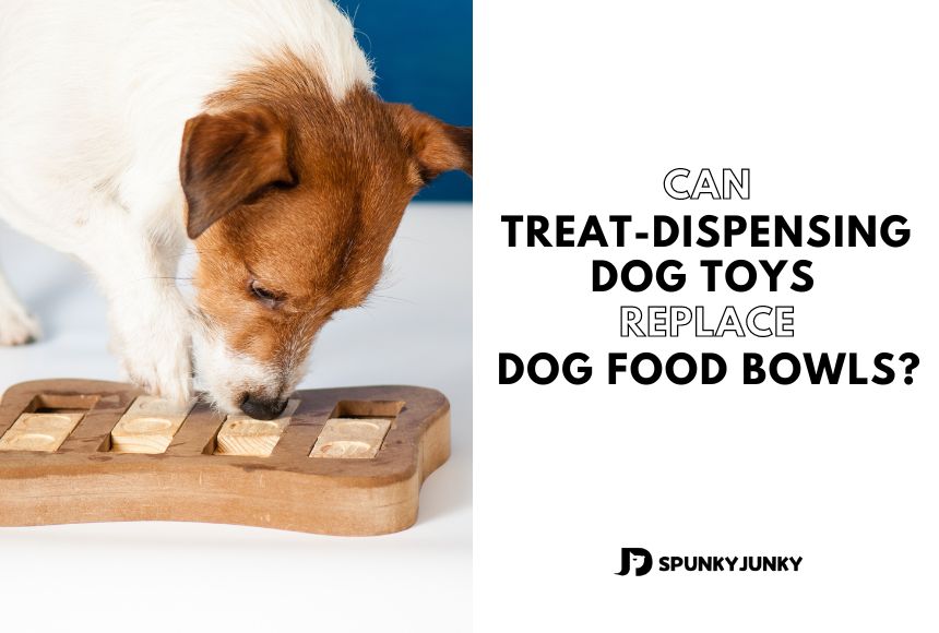 Can Treat-Dispensing Dog Toys Replace Dog Food Bowls