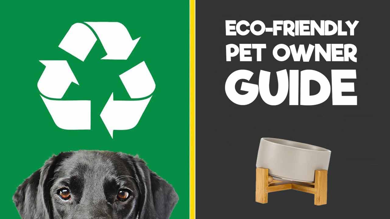 Reduce Carbon Paw Print with Dog Bowl Sets