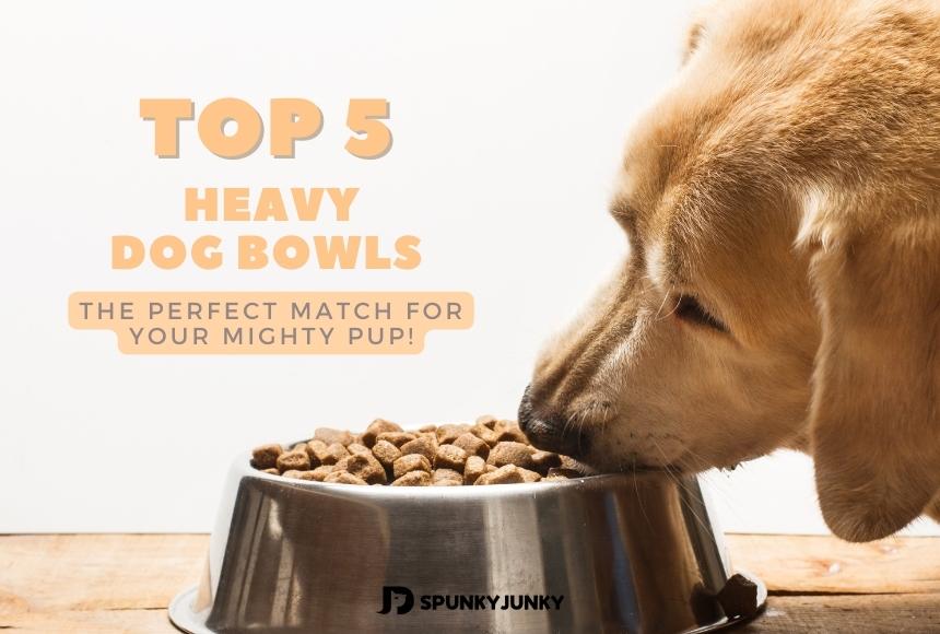 Top 5 Heavy Dog Bowls: The Perfect Match for Your Mighty Pup!