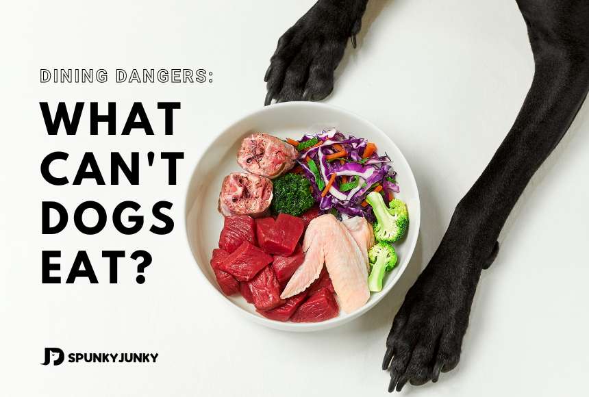 What Can not Dogs Eat