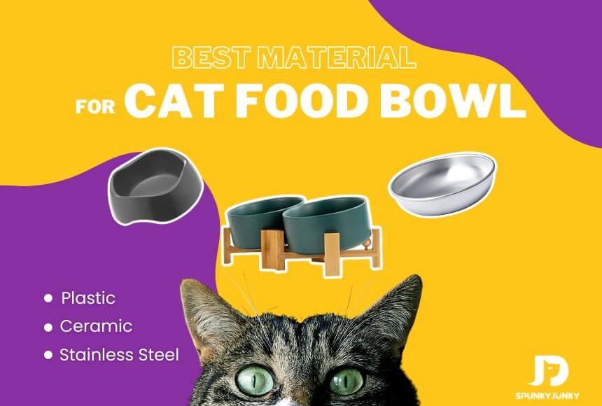 plastic or ceramic or stainless steel which is the best material for cat food bowl