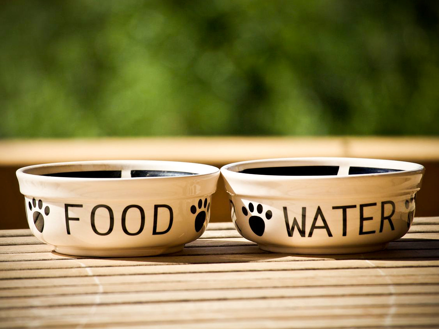 two ceramic dog bowls on the ground, one for food and the other one for water