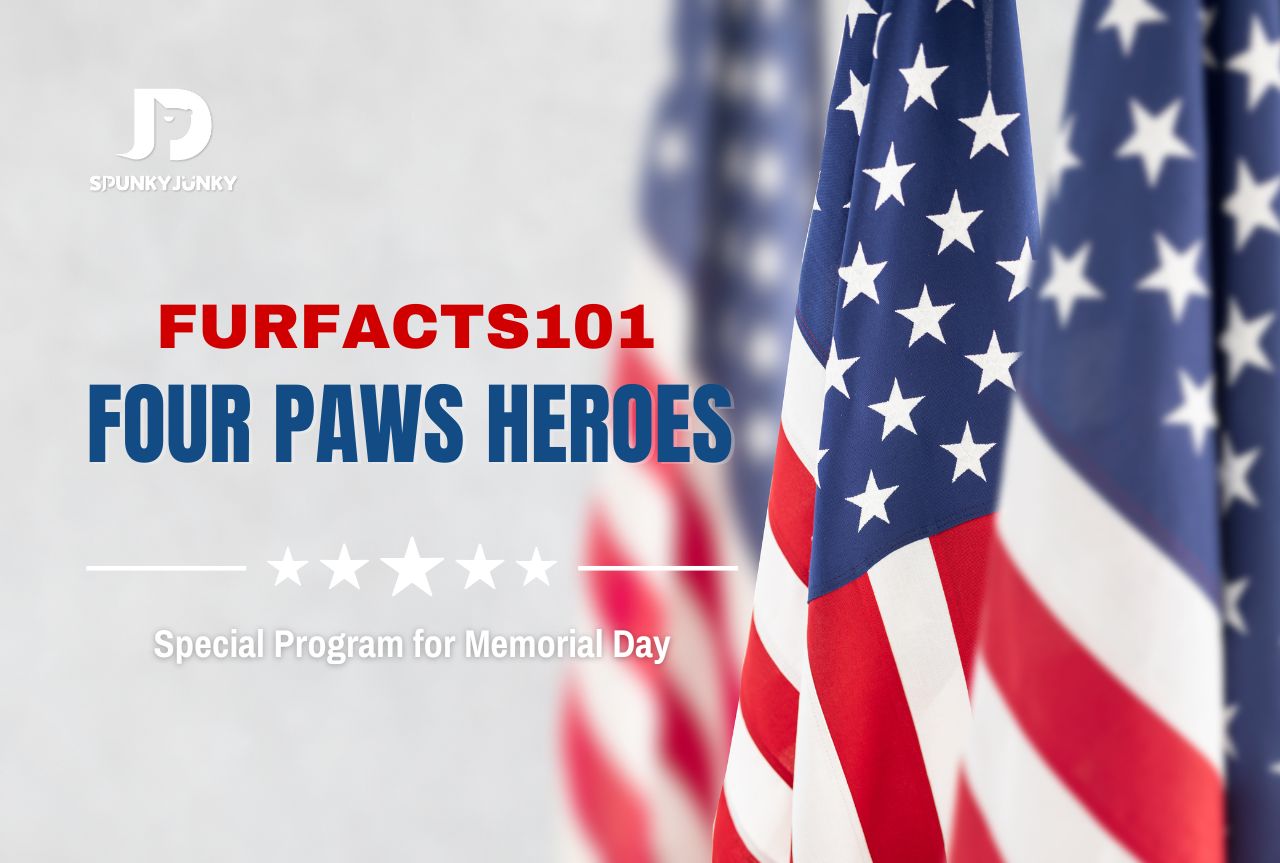 FurFacts101: Special Program for Four Paws Heroes