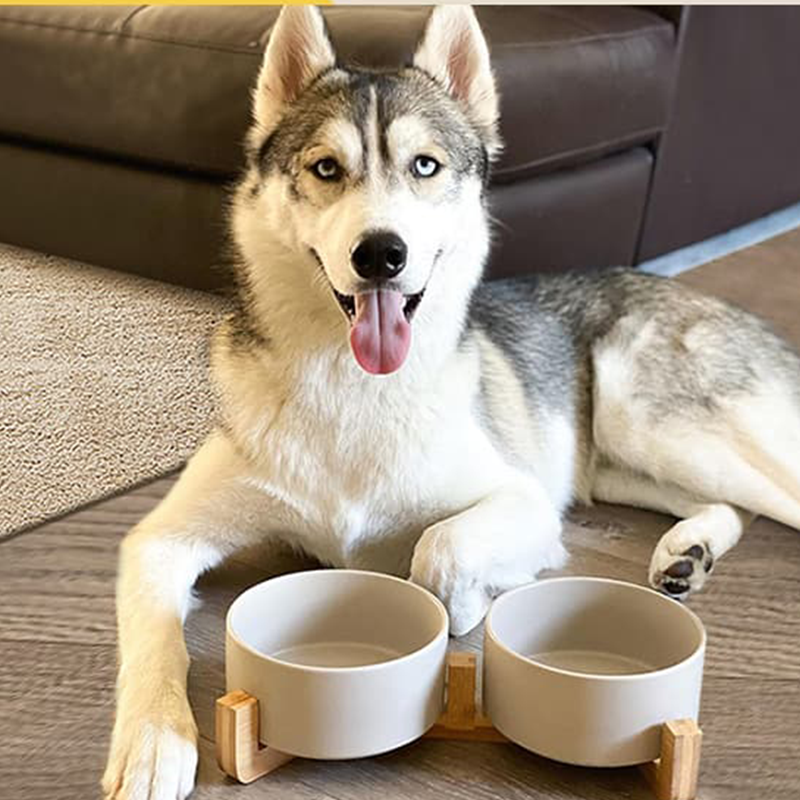 Non-Slip Ceramic Pet Bowl Set