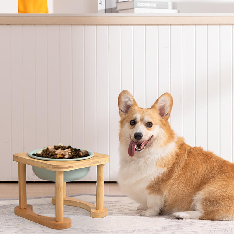 Romanesque Elevated Ceramic Pet Bowl