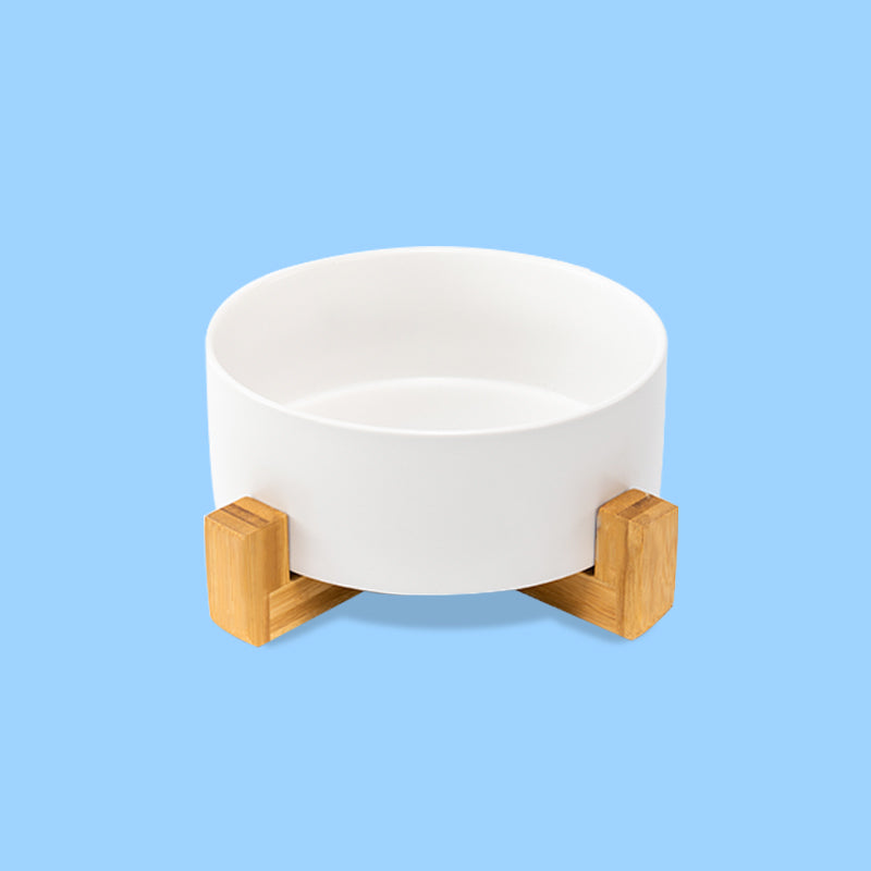 a cute white ceramic dog bowl with bamboo stand in the blue background