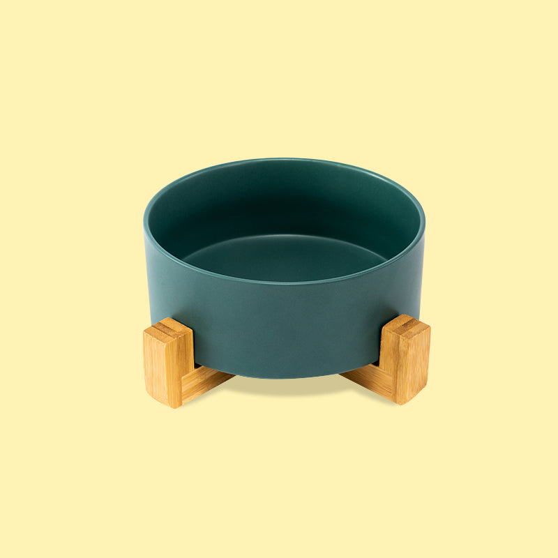 front view of a cute green ceramic pet bowl with stand in the yellow background
