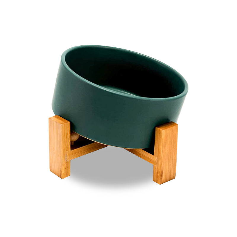 the front of the green 15° tilted dog bowl