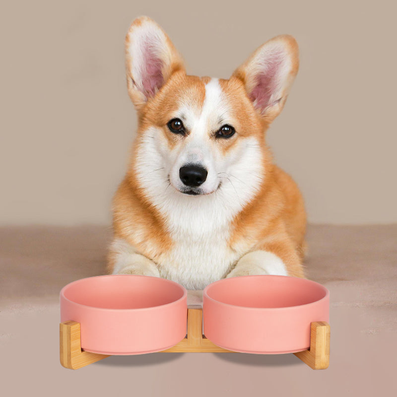 in the front of a Corgi is a cute pink dog bowl set