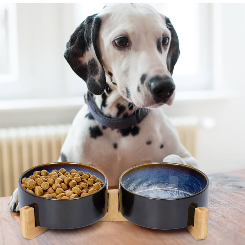 on the table in front of a Dalmatian placed a set of two starry-sky patterned dog bowls