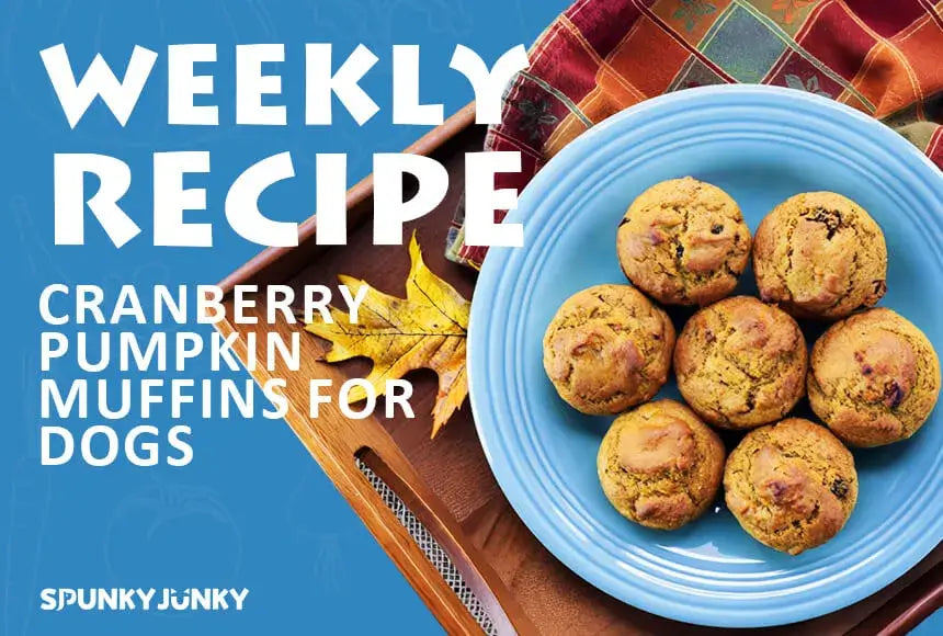 Weekly Recipe: Cranberry Pumpkin Muffins for Dogs