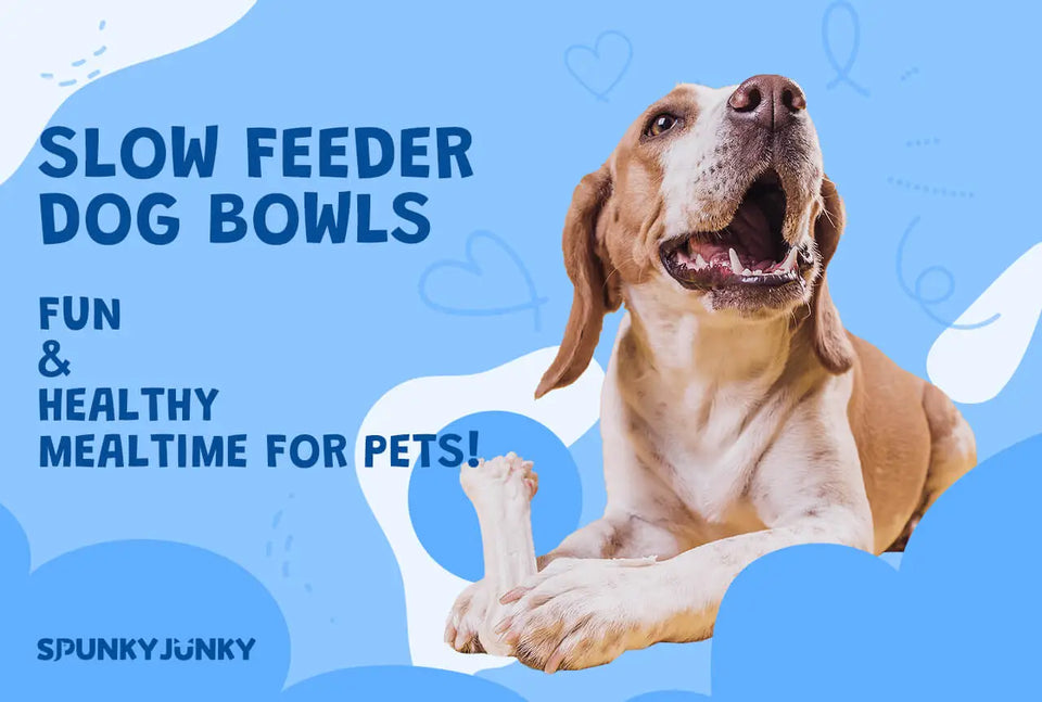 fun and healthy mealtime with slow feeder dog bowls