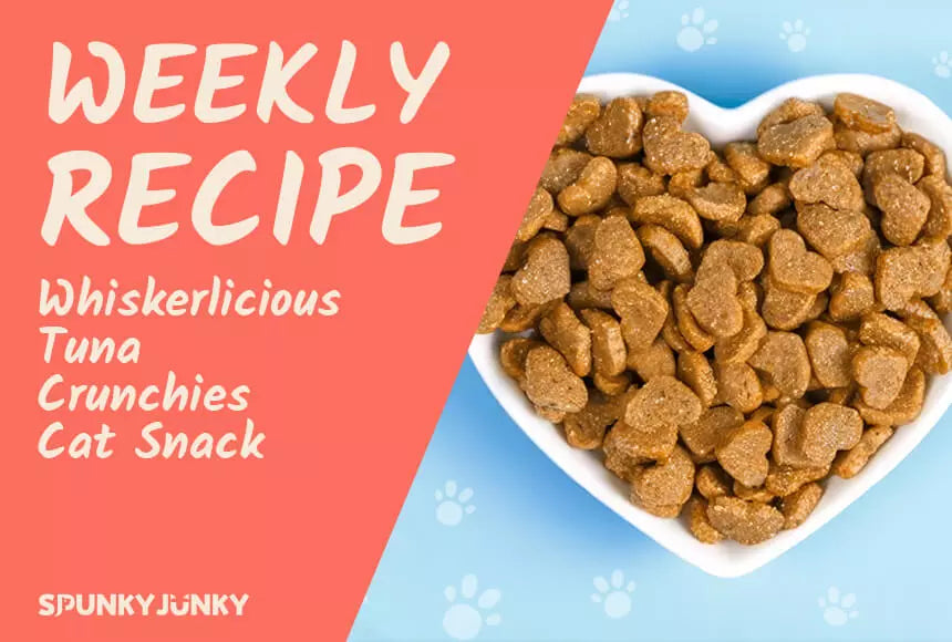 Weekly Recipe: Cat Snacks - Whiskerlicious Tuna Crunchies