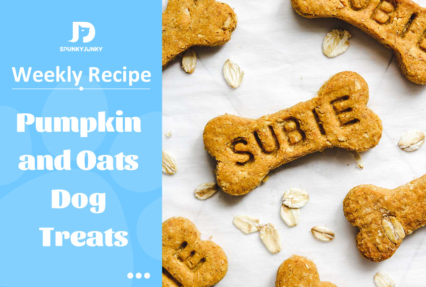 WEEKLY RECIPE: Pumpkin and Oats Dog Treats