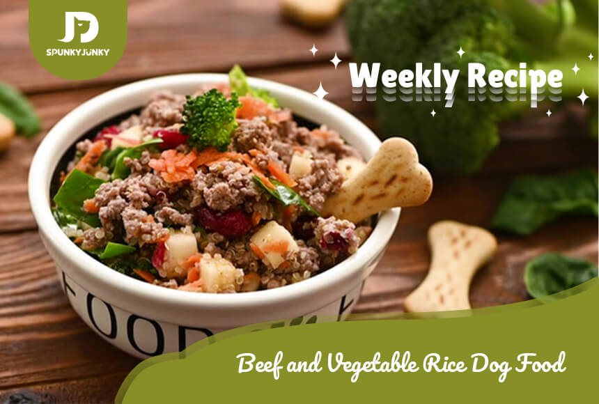 weekly recipe of homemade dog food with beef and vegetable