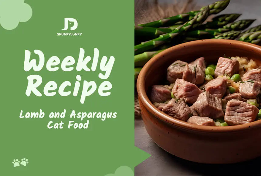 SpunkyJunky weekly recipe: Lamb and Asparagus Cat Food