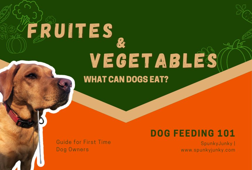 Canine Nutrition101: What Fruits and Vegetables Can Dogs Eat?