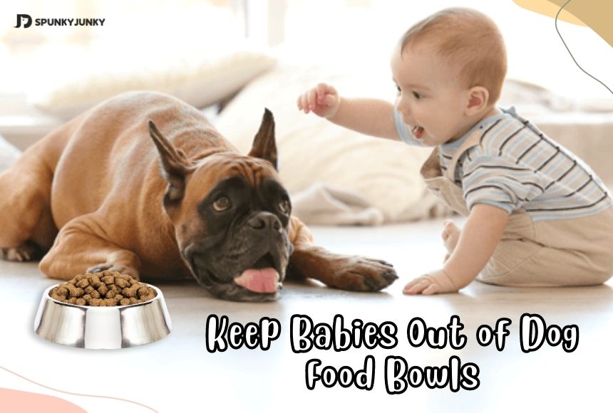 Safety Warning! Keep Babies Out of Dog Food Bowls