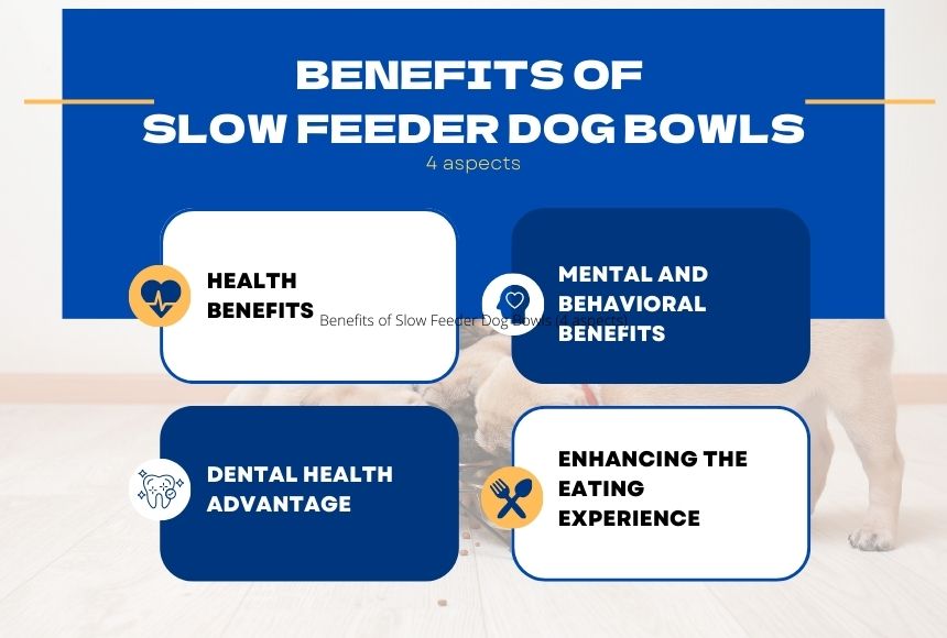Benefits of Slow Feeder Dog Bowls (4 aspects)