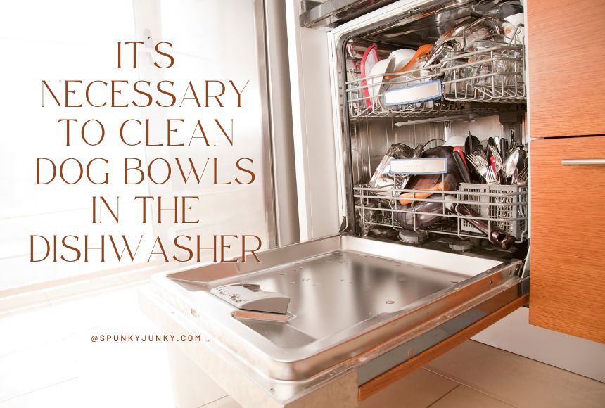 Cleaning Dog Bowls in the Dishwasher