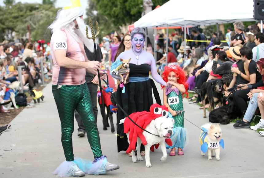 A Tail-Wagging Guide to Halloween Dog Parade