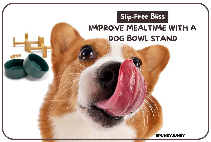 Slip-Free Bliss: Improve Mealtime with a Dog Bowl Stand!