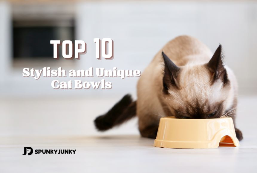 spunkyjunky selected top 10 stylish and unique cat bowls
