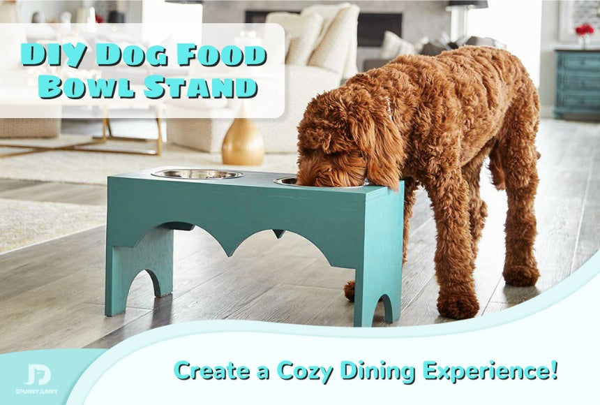 How to DIY a Dog Food Bowl Stand——The Easiest Way!