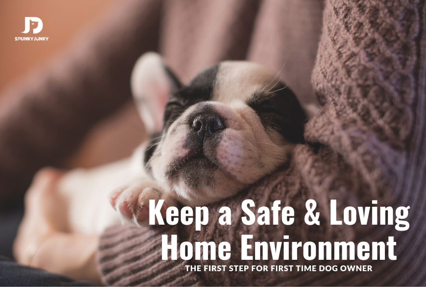 Keep a Safe & Loving Home Environment: The First Step for First Time Dog Owner
