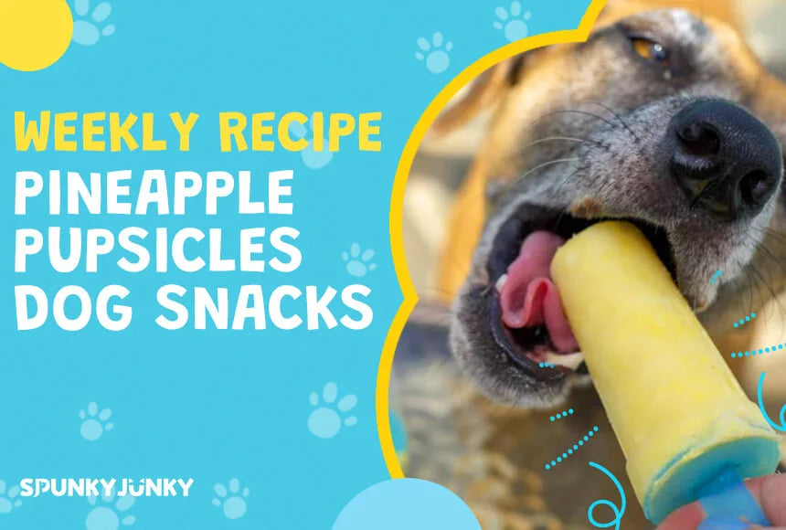 Weekly Recipe Pineapple Pupsicles Dog Snacks