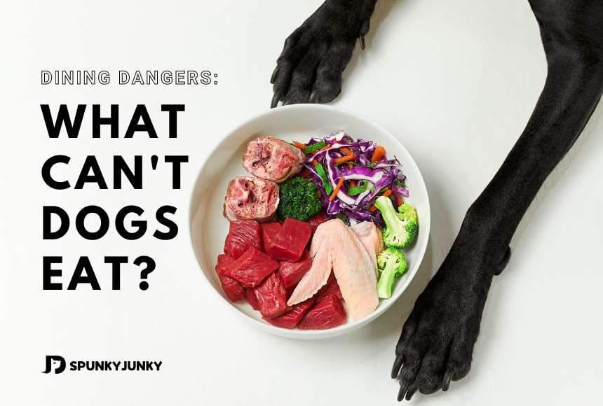 Dining Dangers: What Can't Dogs Eat? Keep Them Safe!