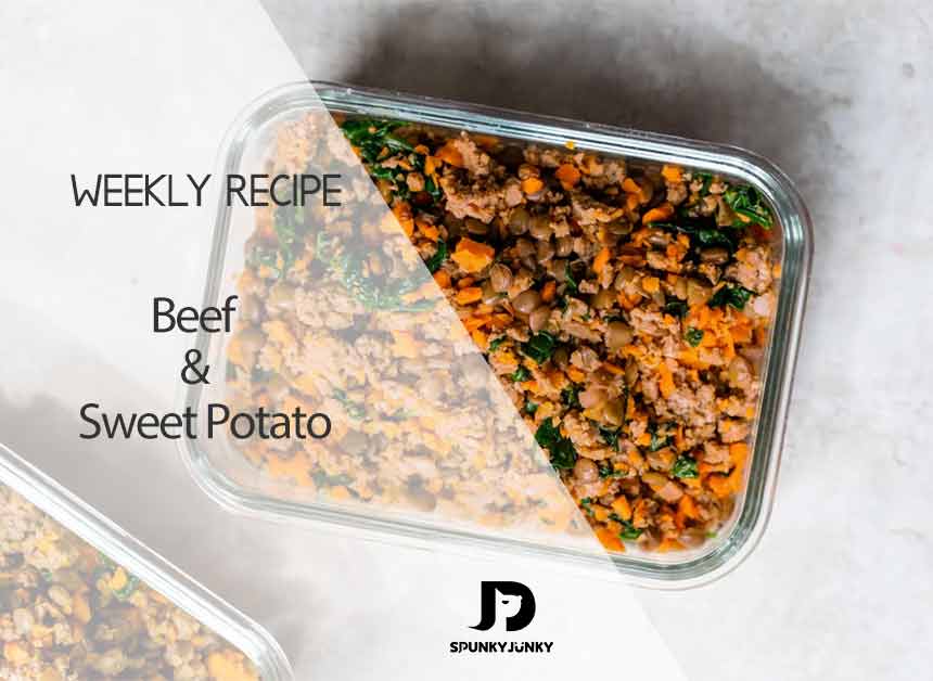 Weekly Recipe: Beef and Sweet Potato Dog Food