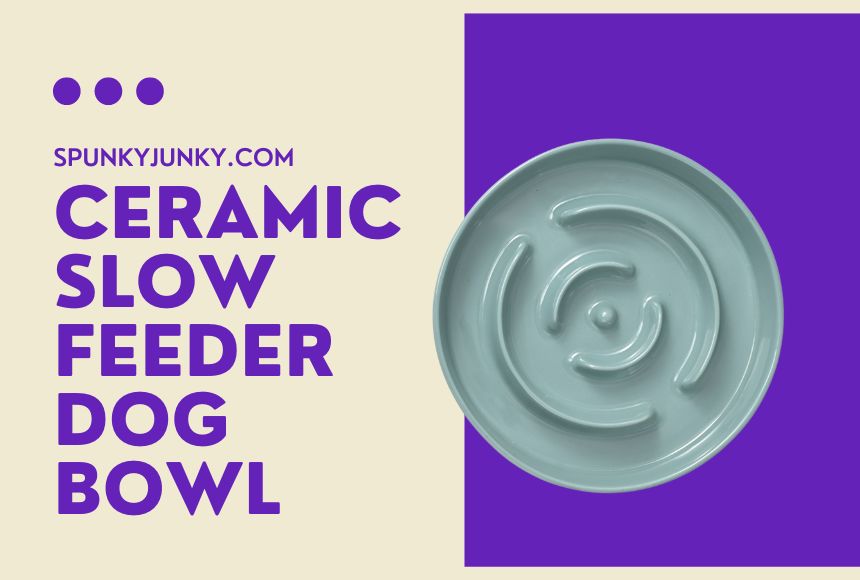 cERAMIC sLOW fEEDER dOG bOWL