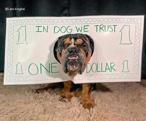 In Dog We Trust - One Dollar