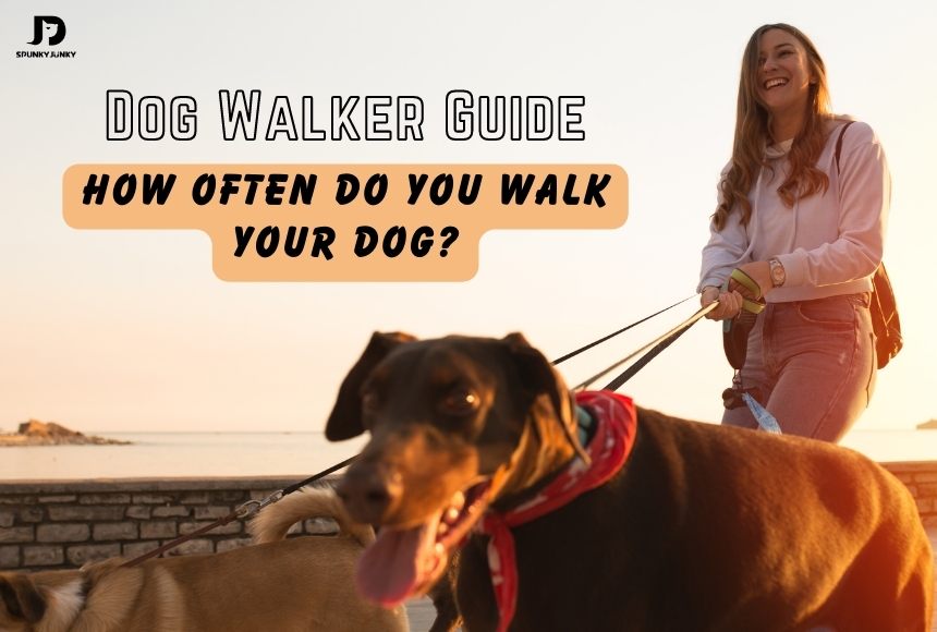 Dog Walker Guide: How Often Do You Walk Your Dog?