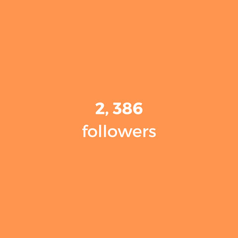 number of followers of SpunkyJunky on instagaram