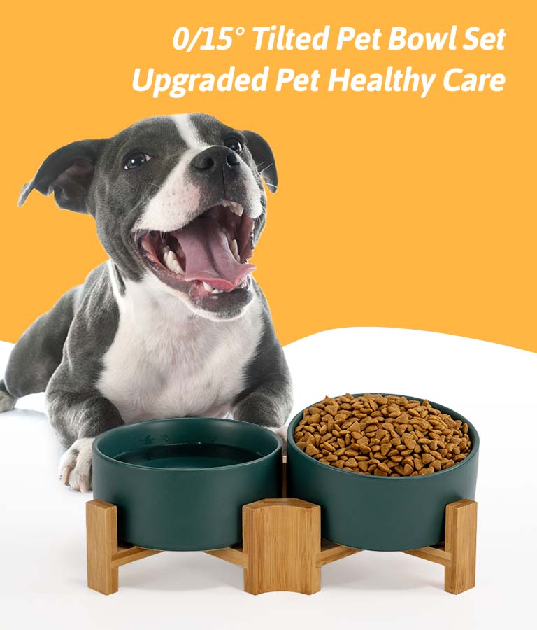 0/15° tilted dog bowl set, upgraded pet healthy care