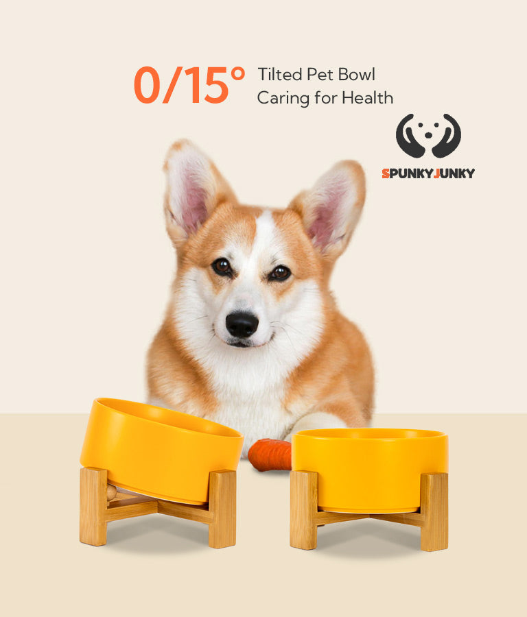 Angled dog best sale bowl