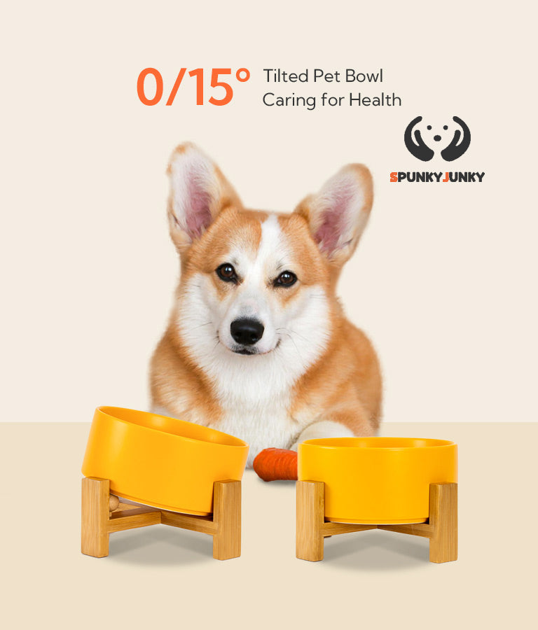 SpunkyJunky's tilted dog bowls in two elevated forms next to a Corgi
