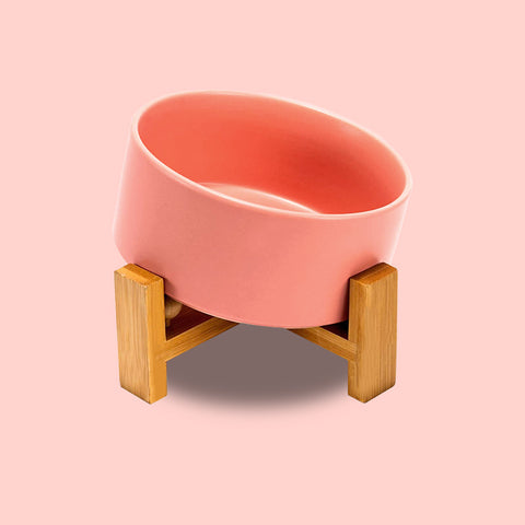 a pink 15° tilted pet bowl with stand