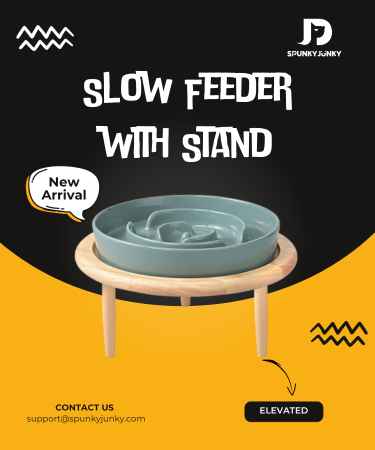 New Arrival - Slow Feeder with Stand - pc 