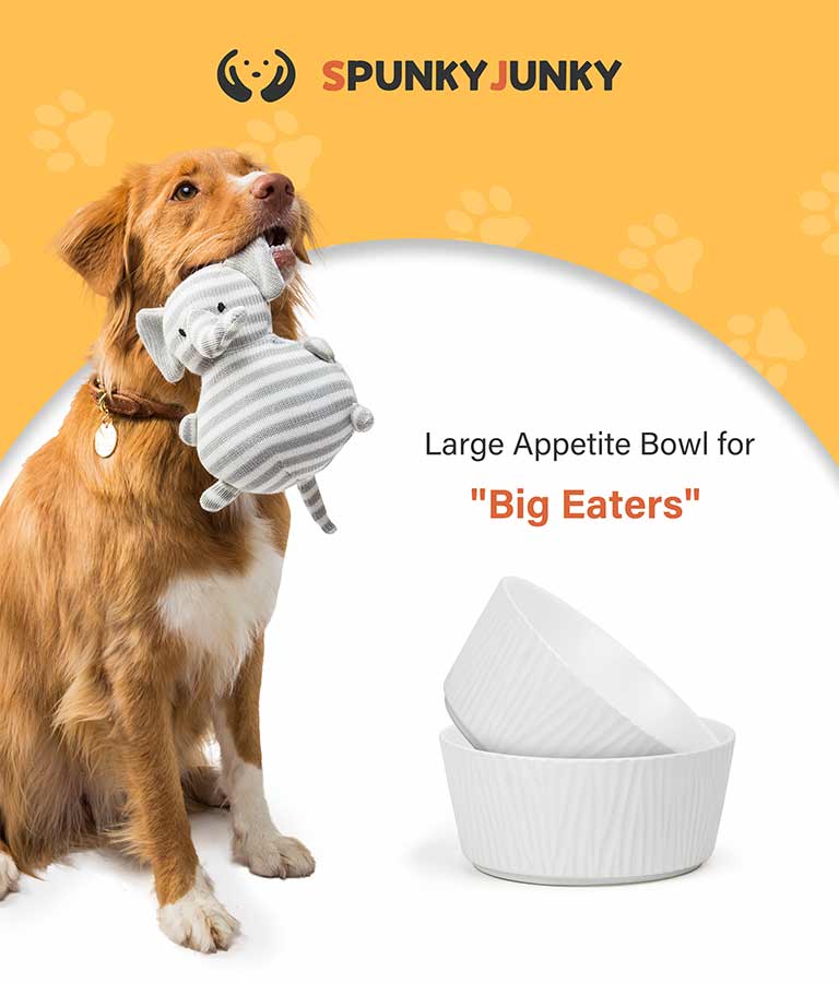 on the right of a large yellow dog are 3 sets of green, white and grey large dog bowls with bark pattern