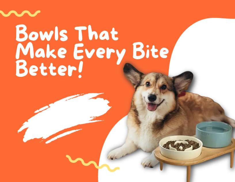 Bowls – The Pooch Collective