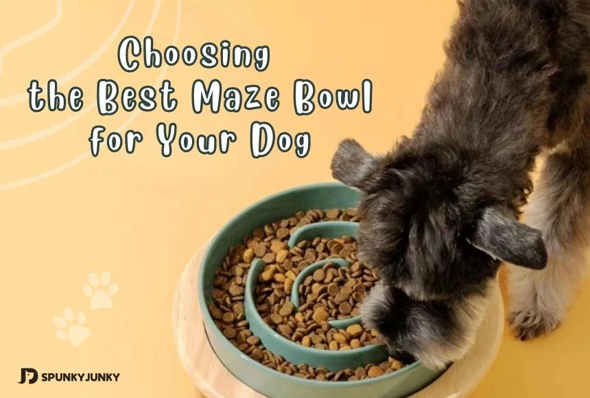 Choosing the Best Maze Dog Bowl for Your Dog