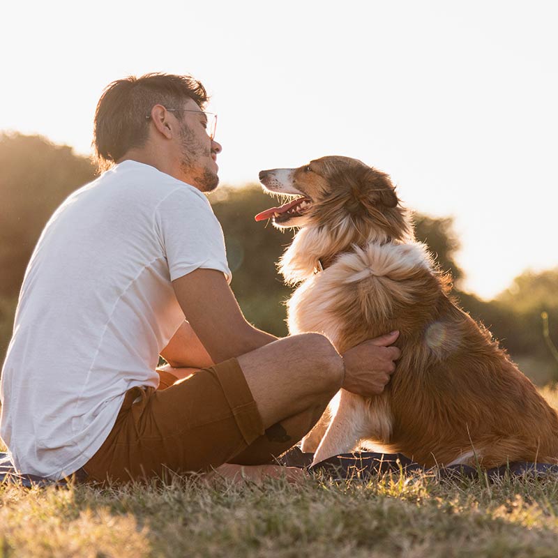 a man and his dog siting on the grass