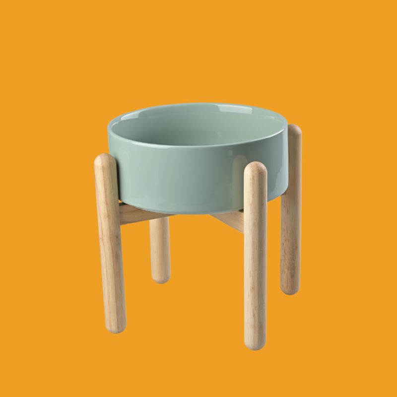 Elevated Single Dog Bowl