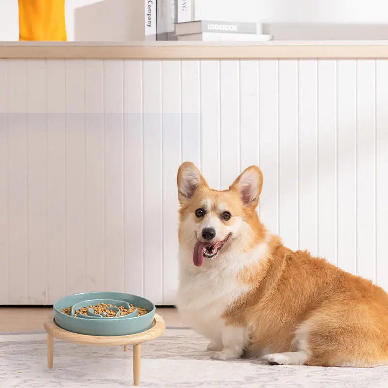 SPUNKYJUNKY Ceramic Slow Feeder Dog Bowl for Small Medium  Breed,Anti-Chocking Dishes,Pet Slow Feeder for Fun Slow Down Eating Dog  Food Bowl(21OZ