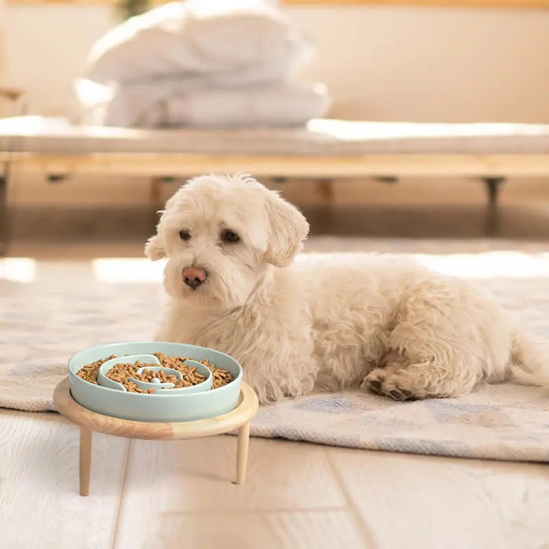 SpunkyJunky® - Slow Feeder Dog Bowl